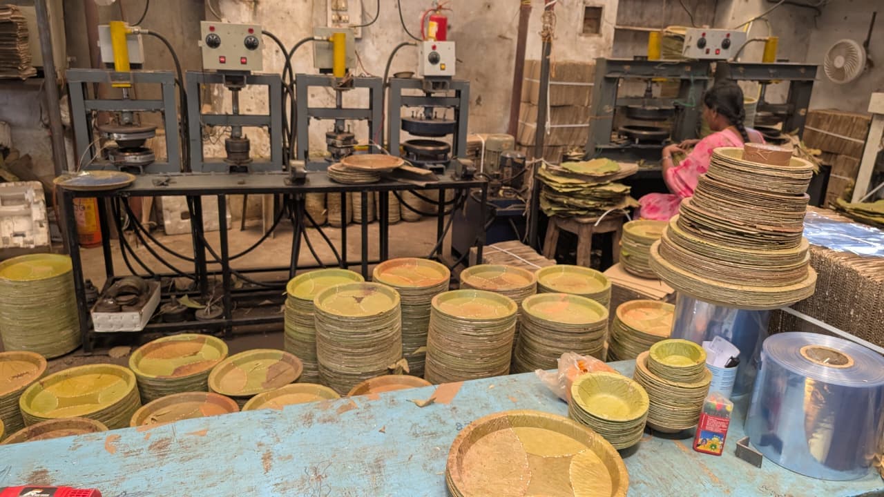 Eco-Friendly Leaf Plates